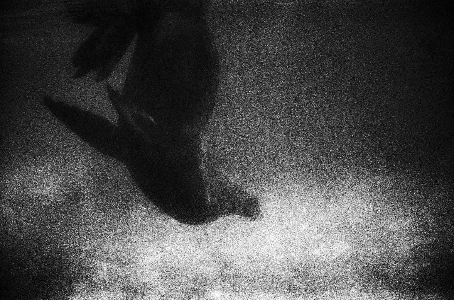 Minimalist architectural photography print