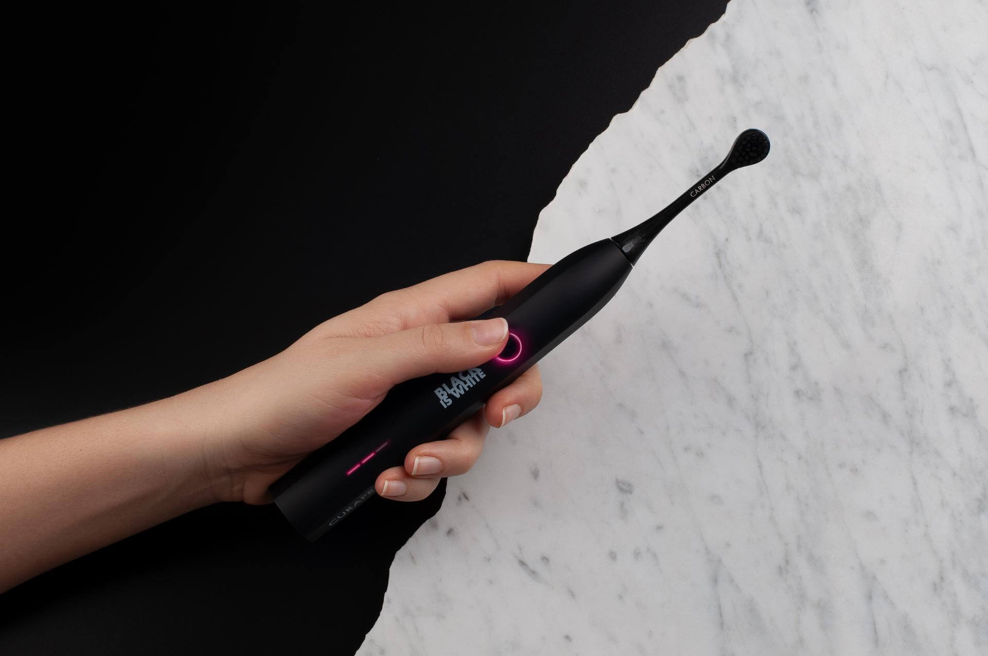 A close-up of a green fern against a bright yellow background.