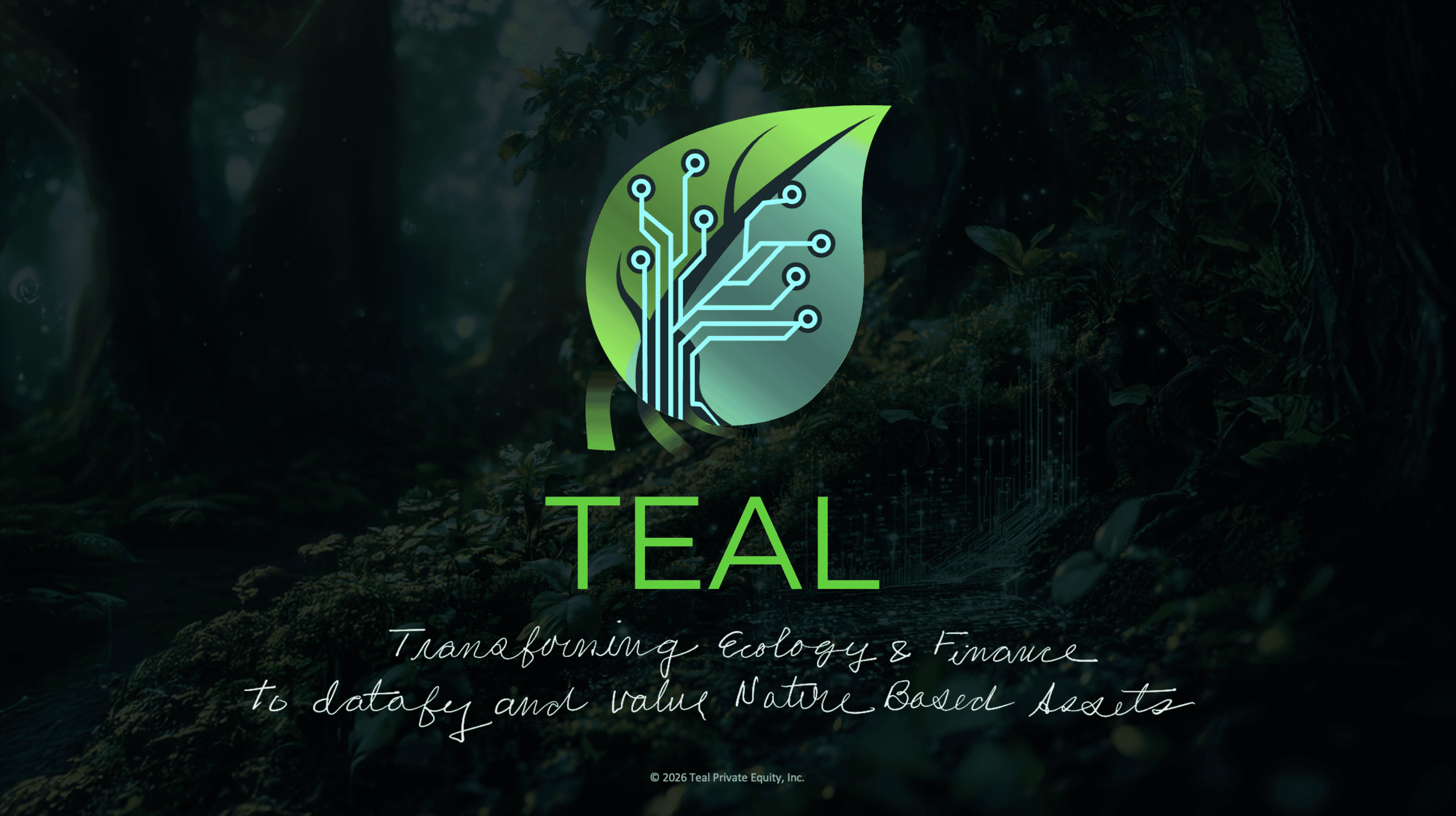 The image featured at the top of the about us page #1