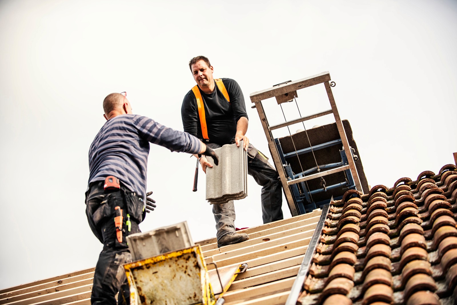 Portrait of portfolio creator – back view