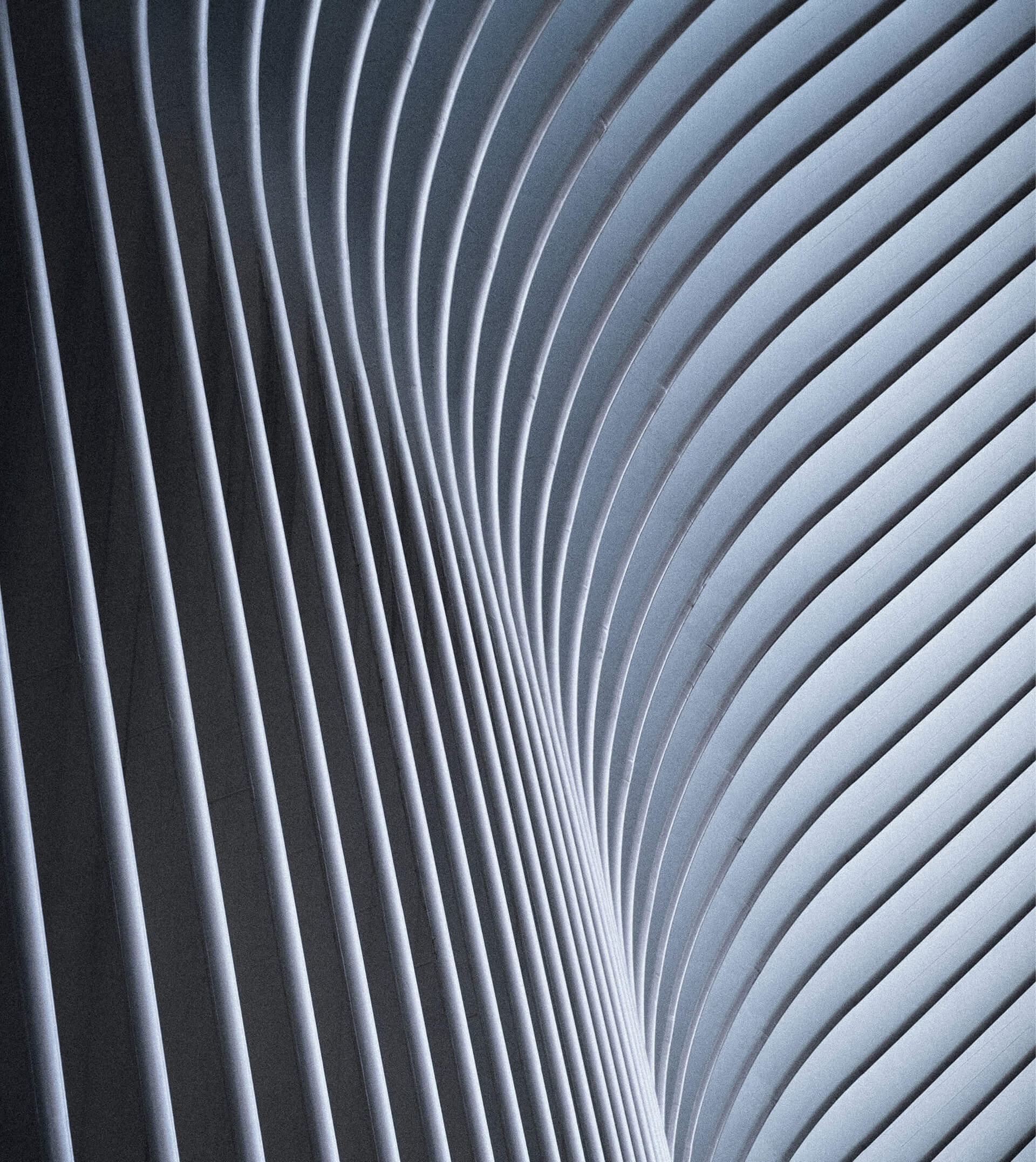 This image captures a striking piece of modern architecture, likely the interior ceiling or wall of a contemporary structure. The design features a series of parallel, curved vertical lines or ribs that bend gracefully, creating a dynamic, flowing form. The soft gradient lighting enhances the sense of depth and movement, emphasizing the smooth, wave-like transition of the lines. This architectural style is reminiscent of designs by Santiago Calatrava, known for futuristic and organic shapes, such as those seen in the Oculus at the World Trade Center in New York.