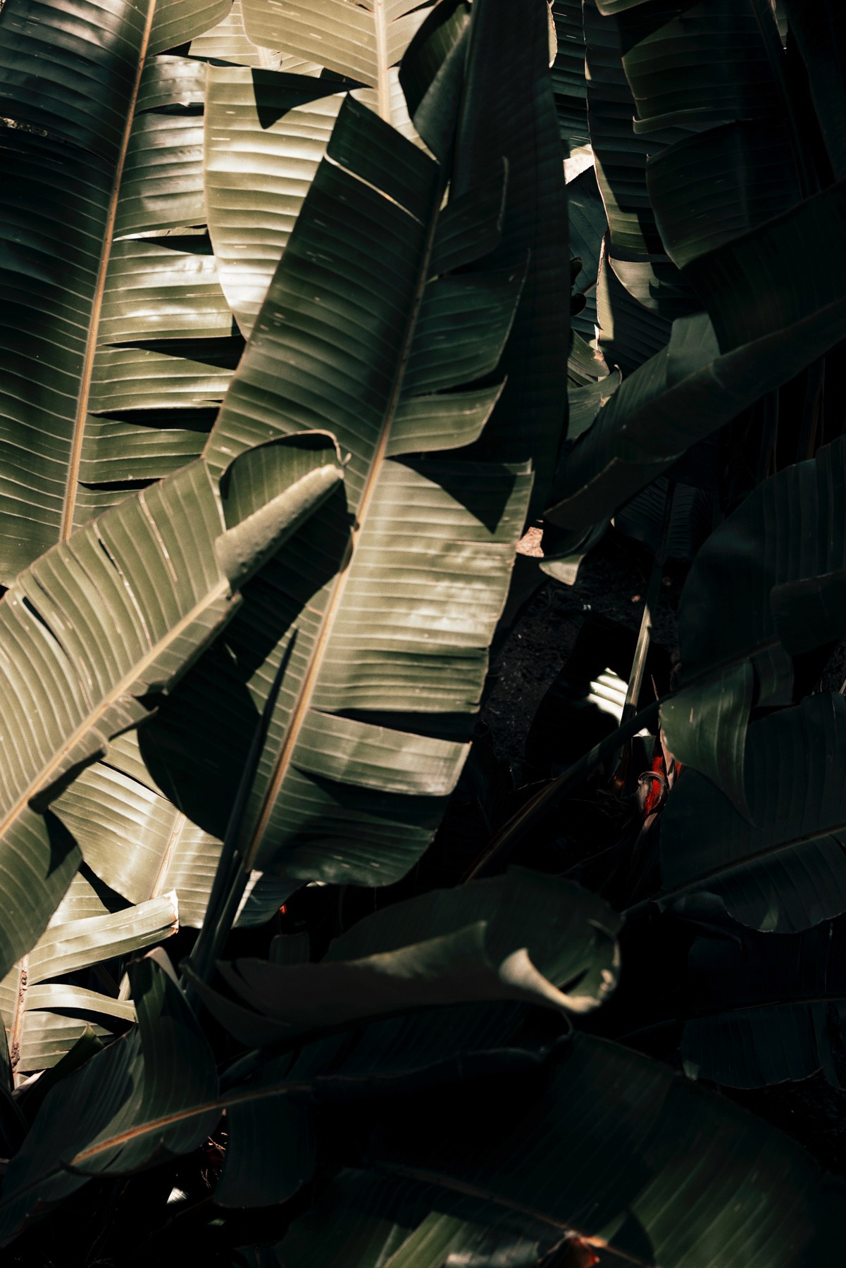 SEINT × 02 — image 37 of 61