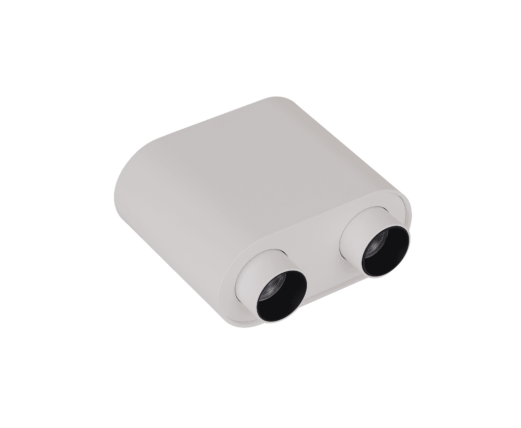 Eye