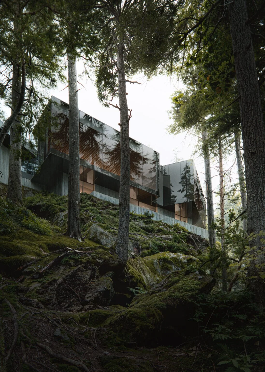 mckeen homes | black tusk whistler new construction