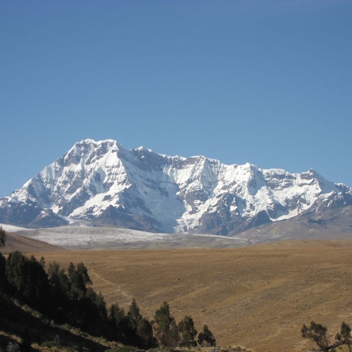 被白雪覆蓋的山脈在藍天之下，前景是草原和幾棵零星的樹。
