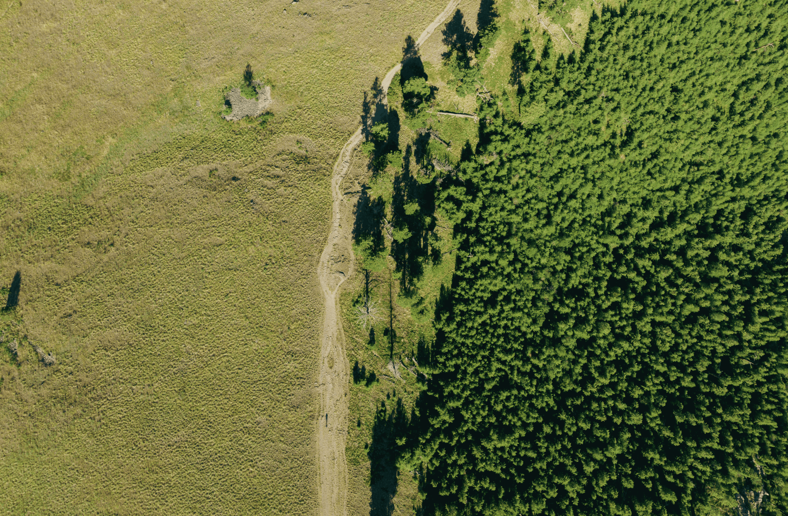 Woman In White Background