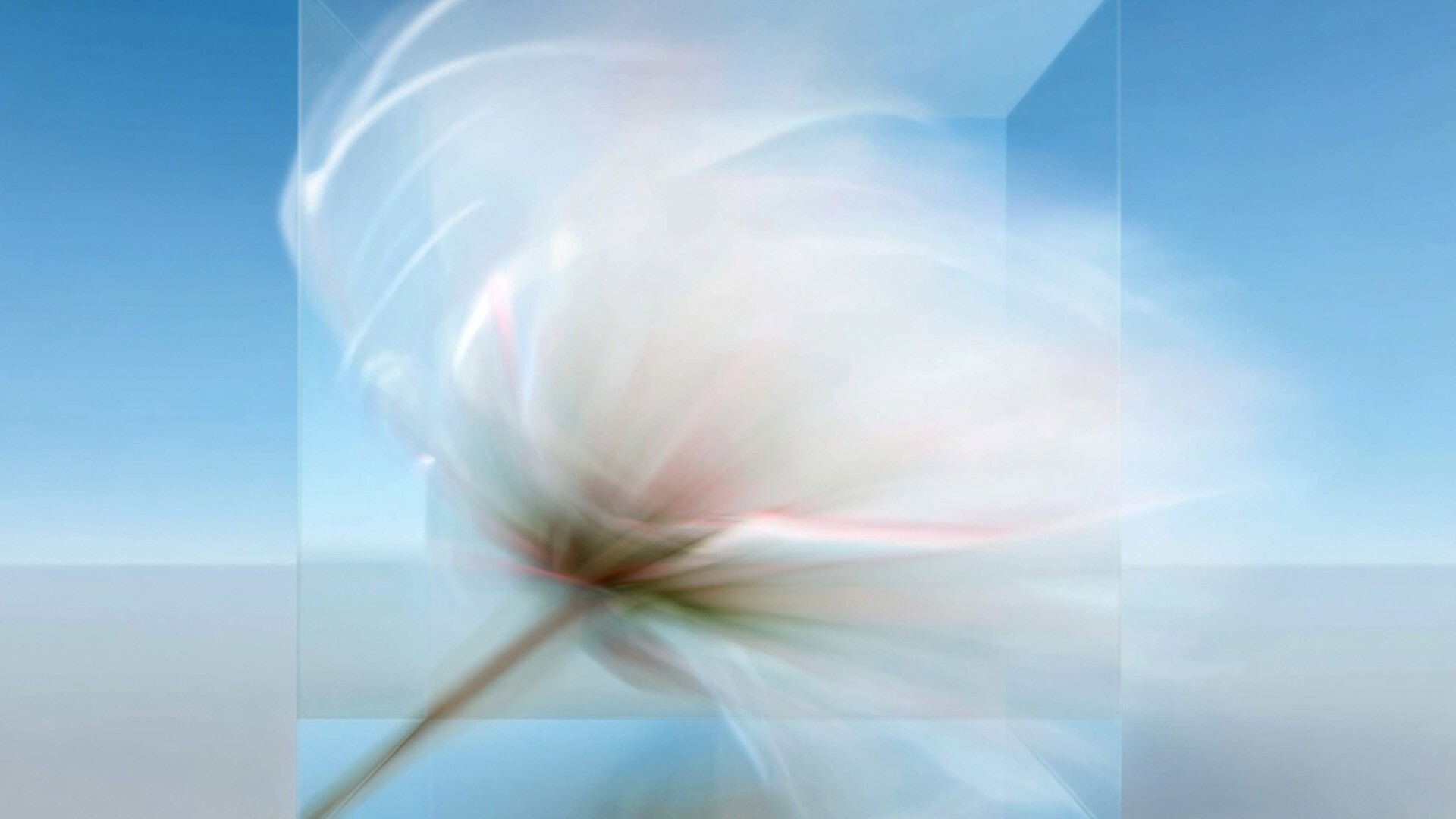 abstraktes Bild einer Blüte