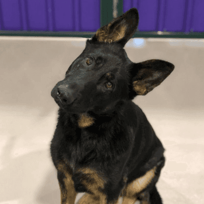 three products on a table