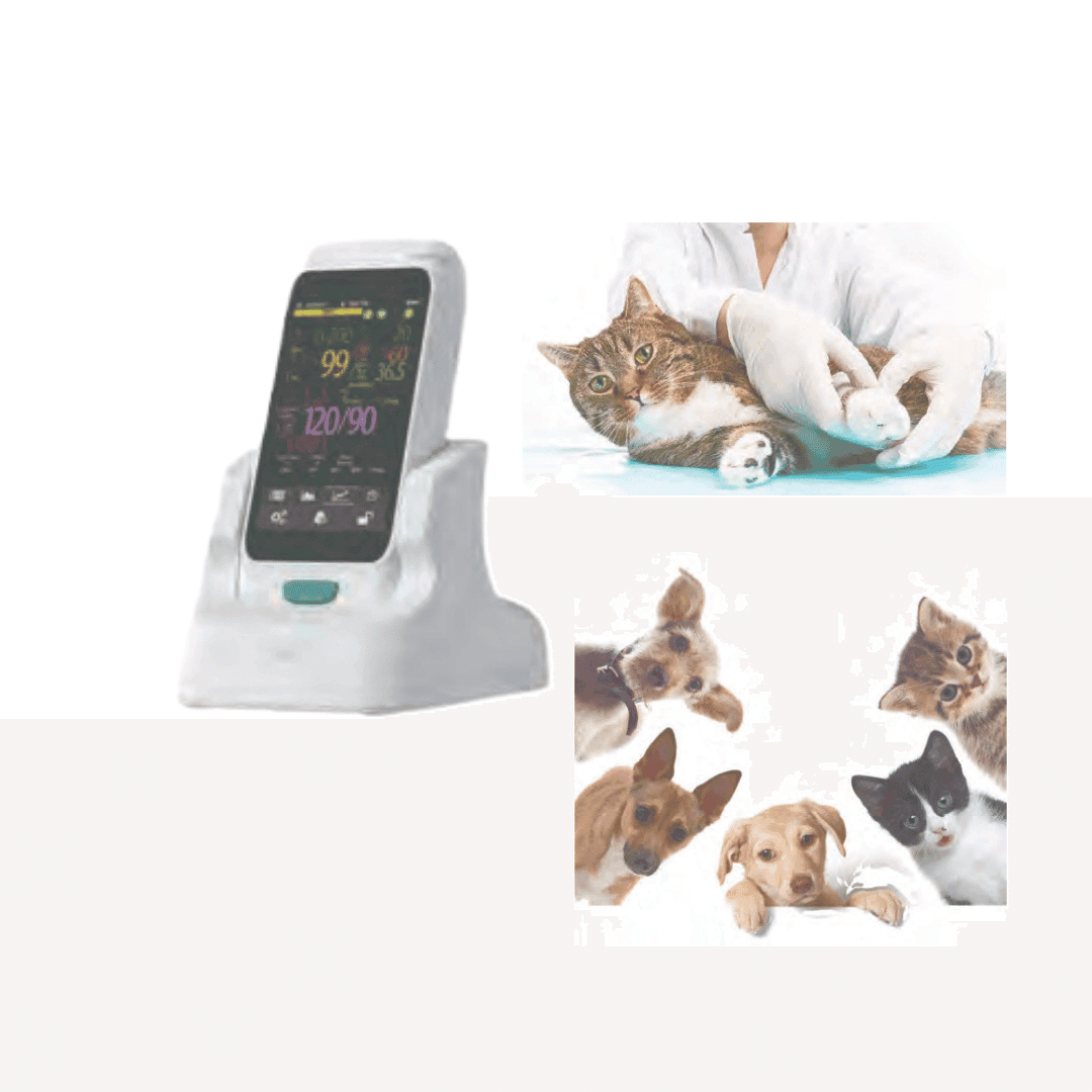 High-performance valve for irrigation and fluid transfer systems