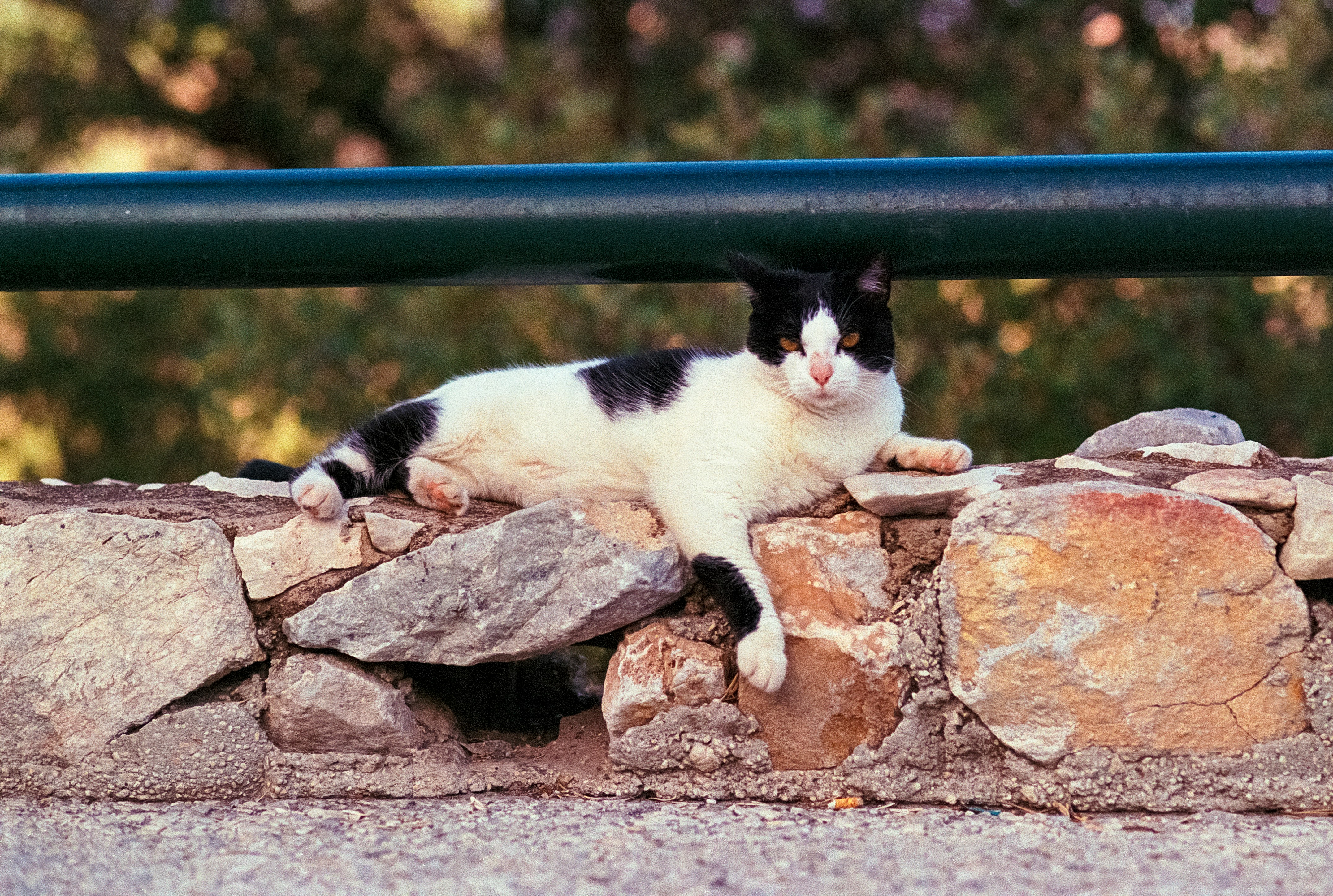 Mediterranean Europe