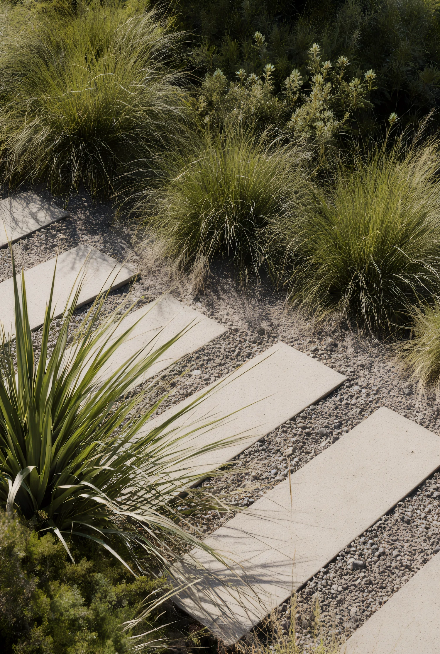 A gravel garden path bordered by soft grasses and low plantings in warm afternoon light.