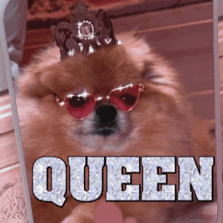 Ruchomy obrazek pies z błyszczącą koroną ze świecącym napisem queen