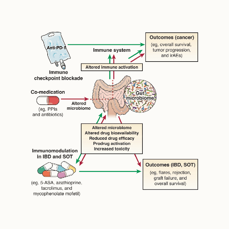 Pharmacomicrobiomics: The Role of the Gut Microbiome in Immunomodulation and Cancer Therapy