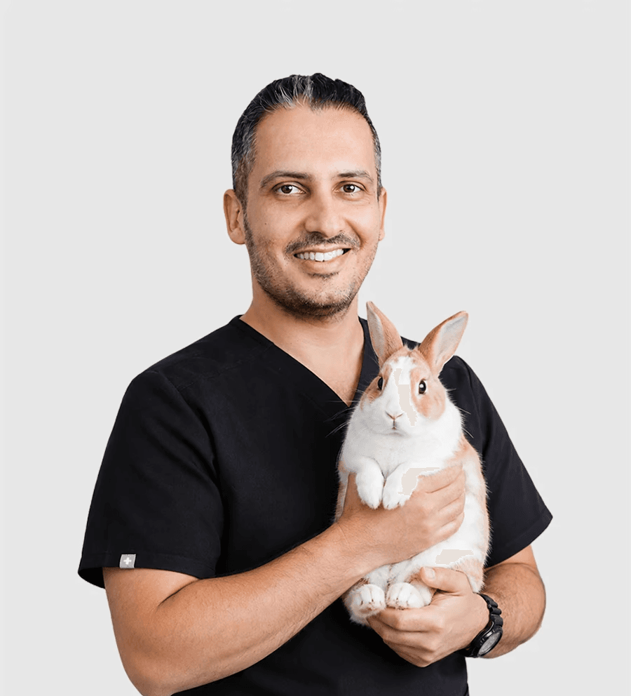 Dr. J Yeganeh of Noble Veterinary Clinics holding a rabbit.