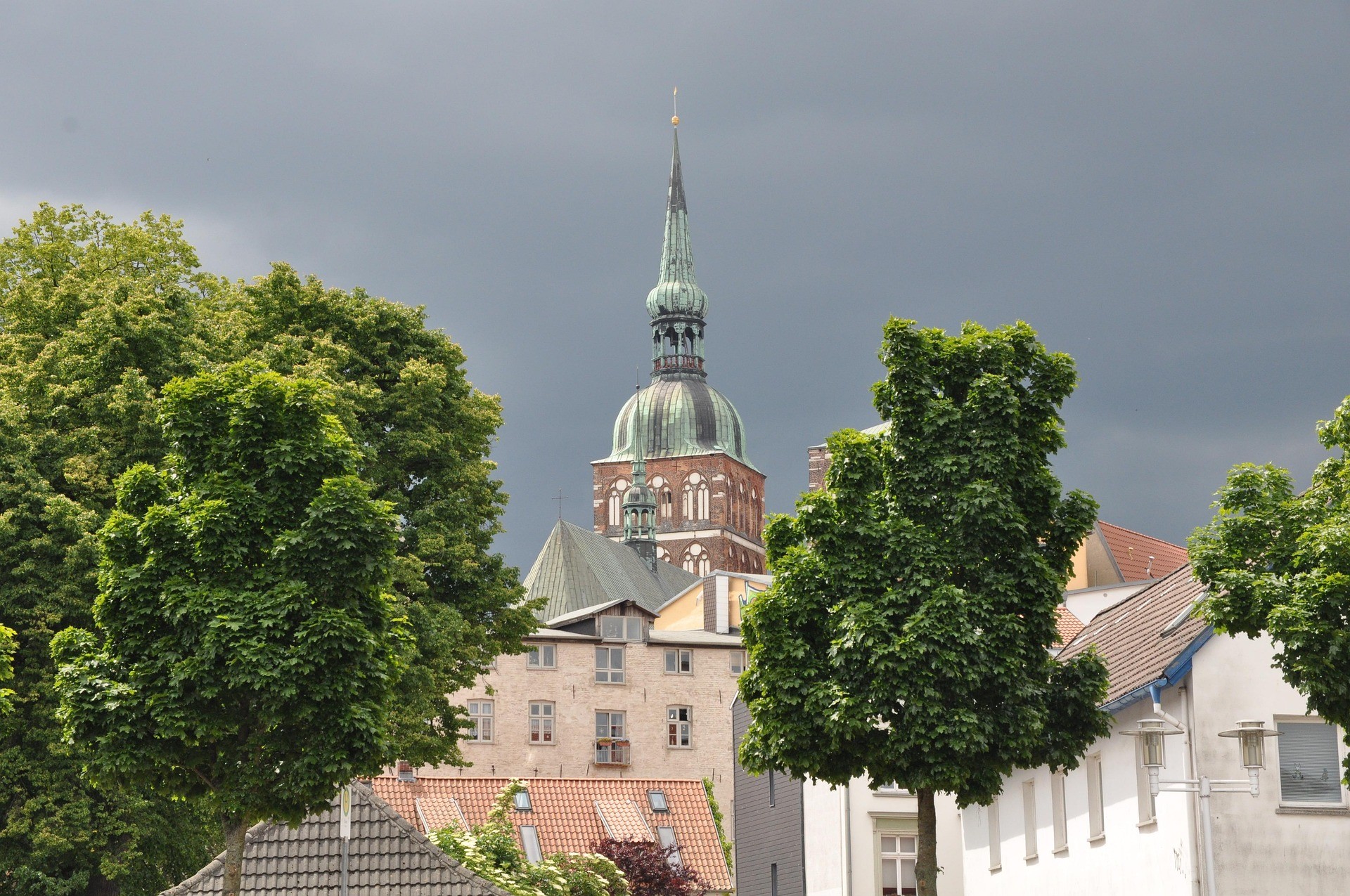 baumpflege Stralsund 
