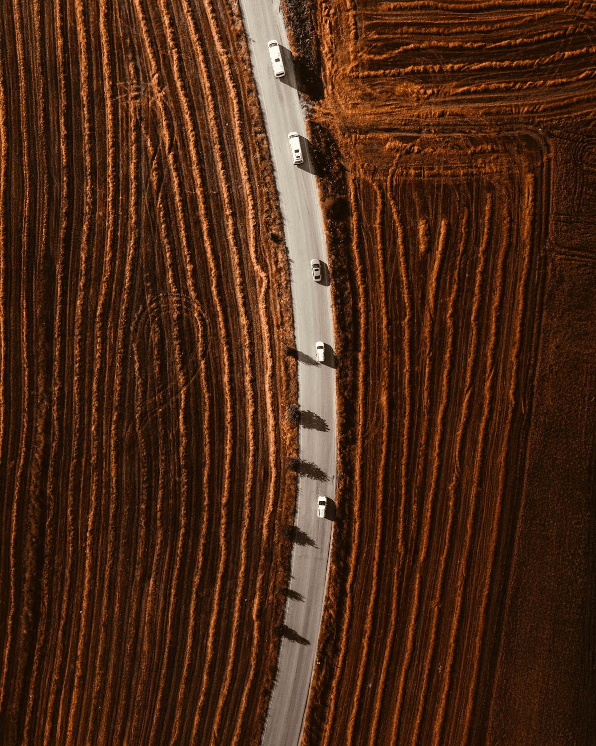 Narrow road running through symmetrical crop fields, aerial view
