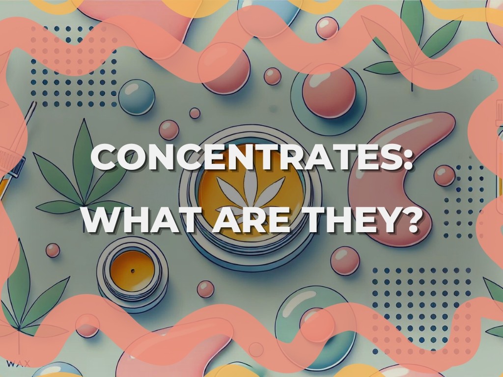 Hand drawn assets of cannabis concentrates and leafs. Title text reading "Concentrates, What Are They?"