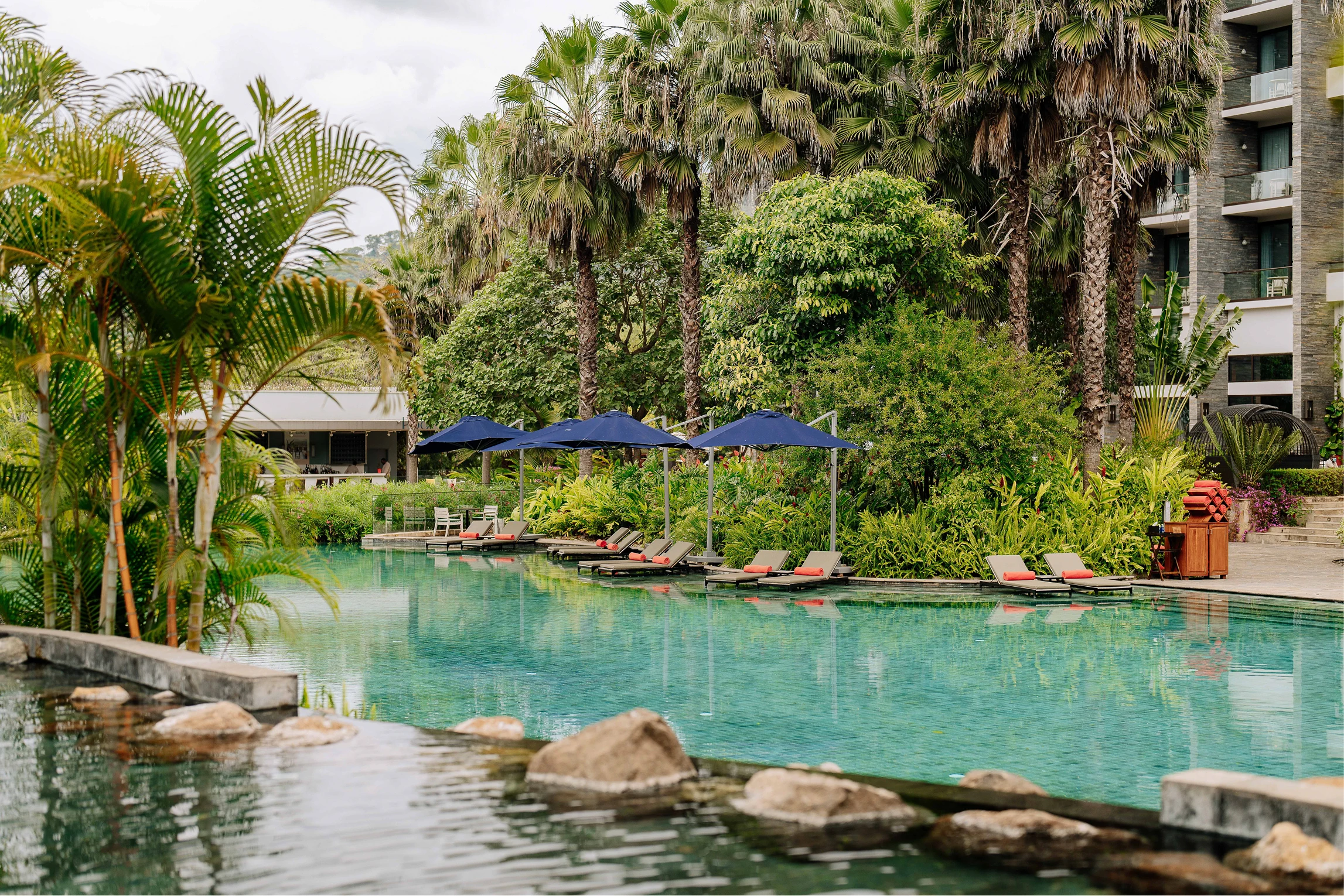 Tropical resort swimming pool surrounded by palm trees and lush greenery.
