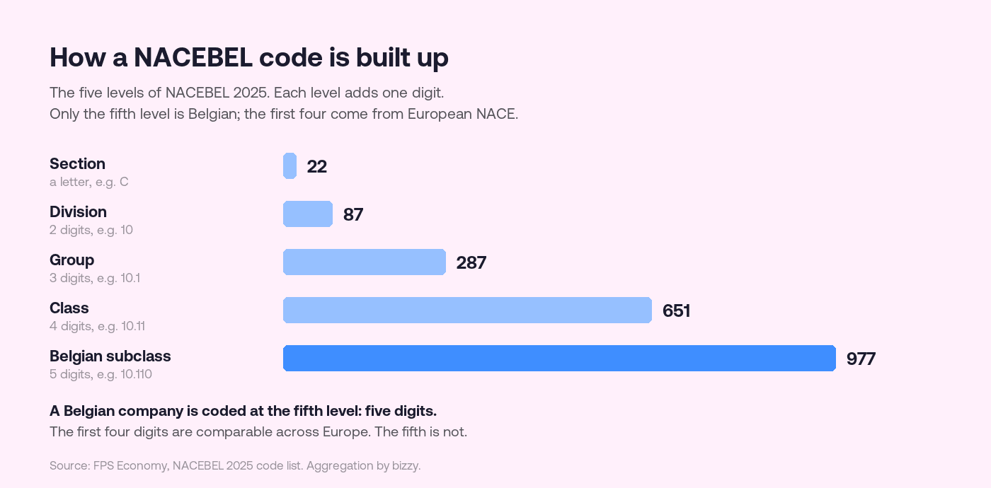 The five levels of a NACEBEL 2025 code, from 22 sections down to 977 Belgian subclasses