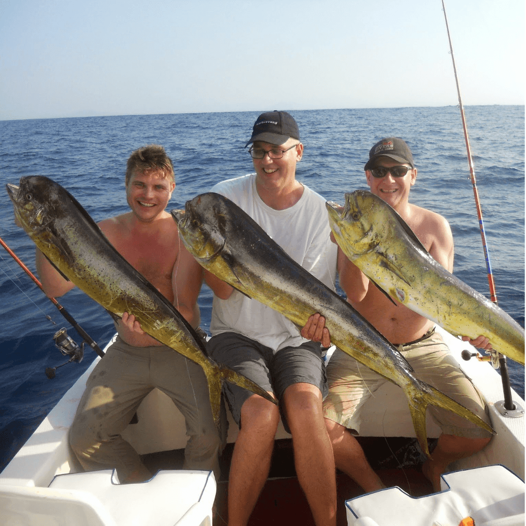 Mexico, jack, rooster, sailfish, mahi mahi