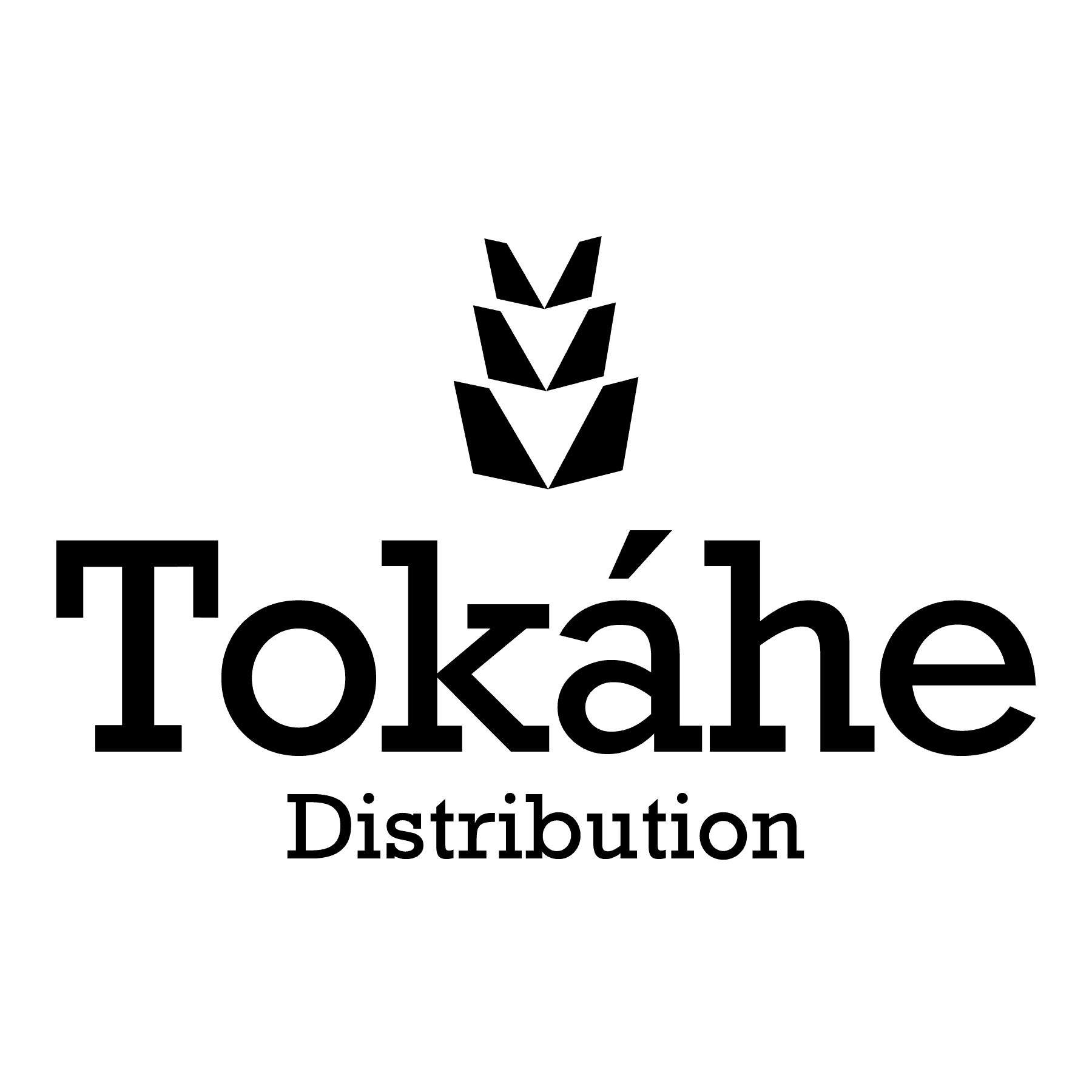 Footer Logo