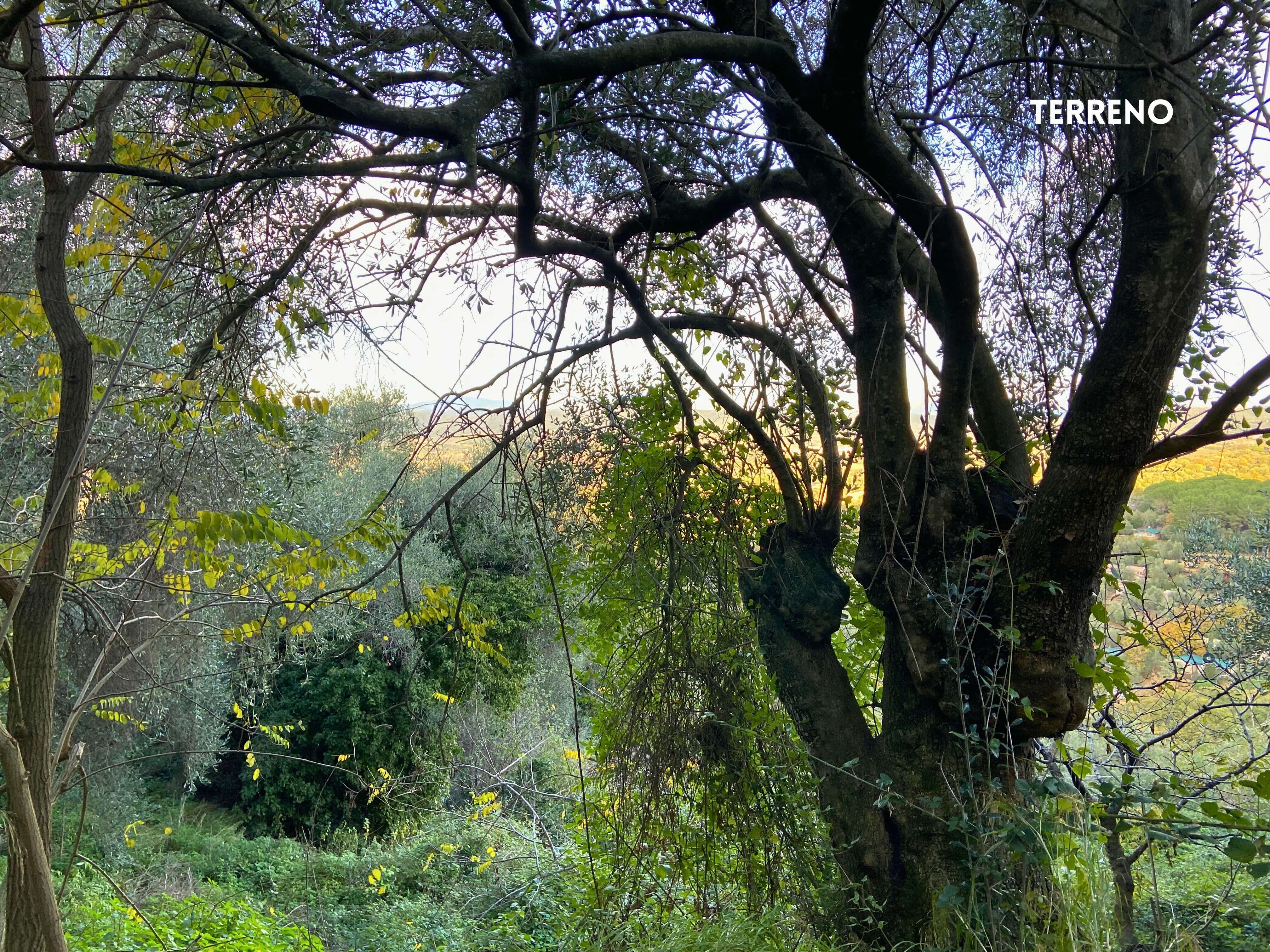 Casale Vista Provenza, Roccatederighi, Maremma Toscana