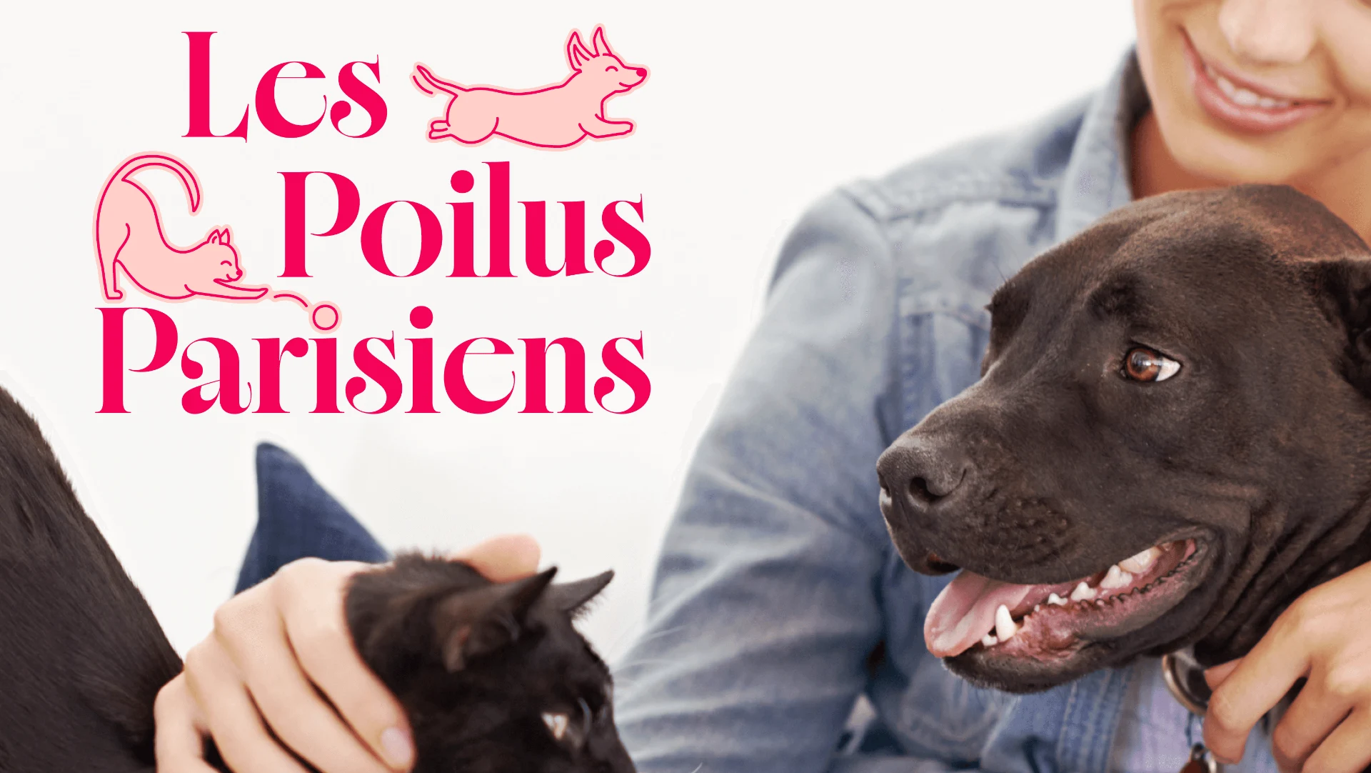 Création de l'identité visuelle pour Les Poilus Parisiens, service de garde et d'accompagnement animalier à Paris