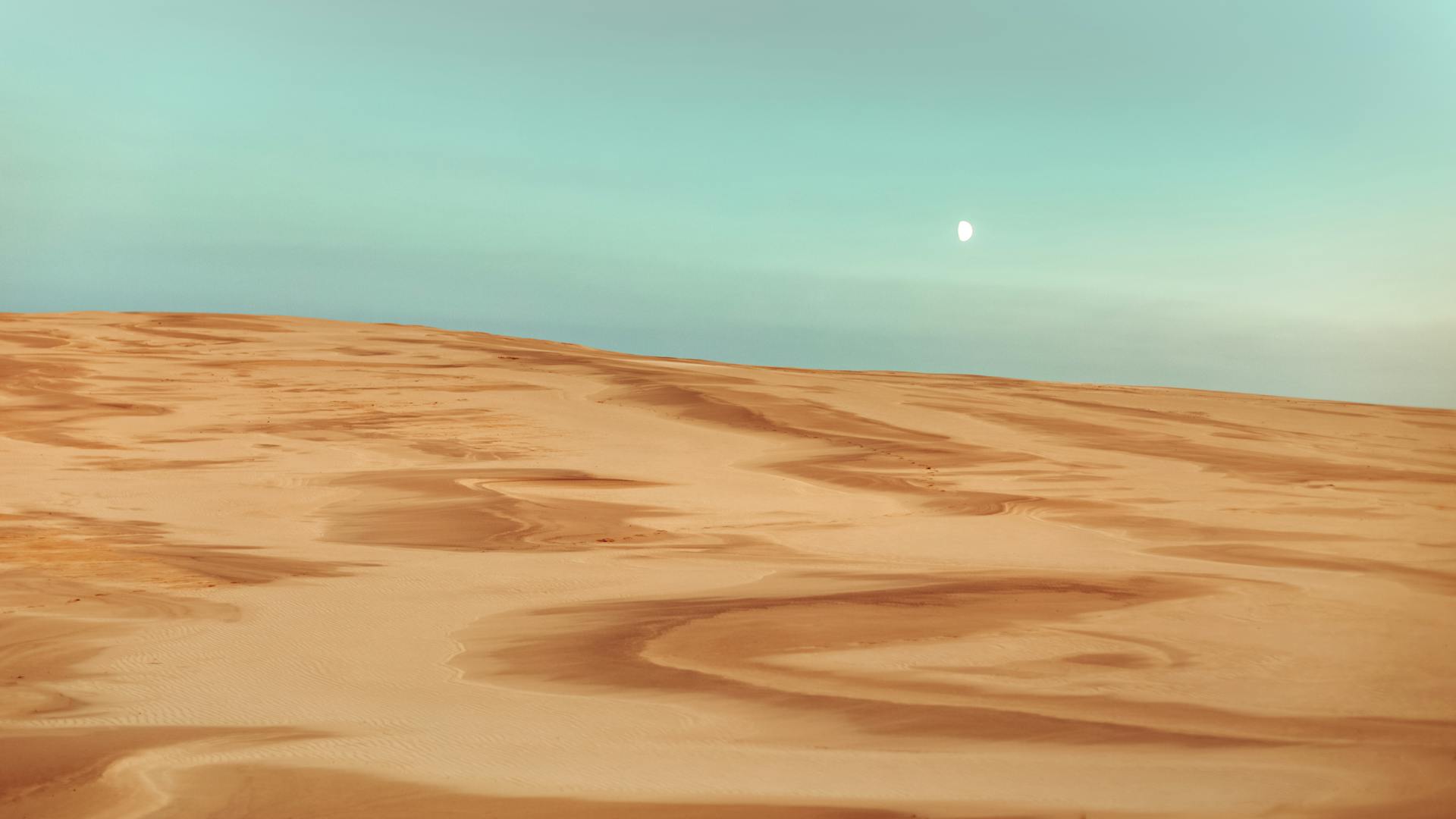 Dunes of Łeba