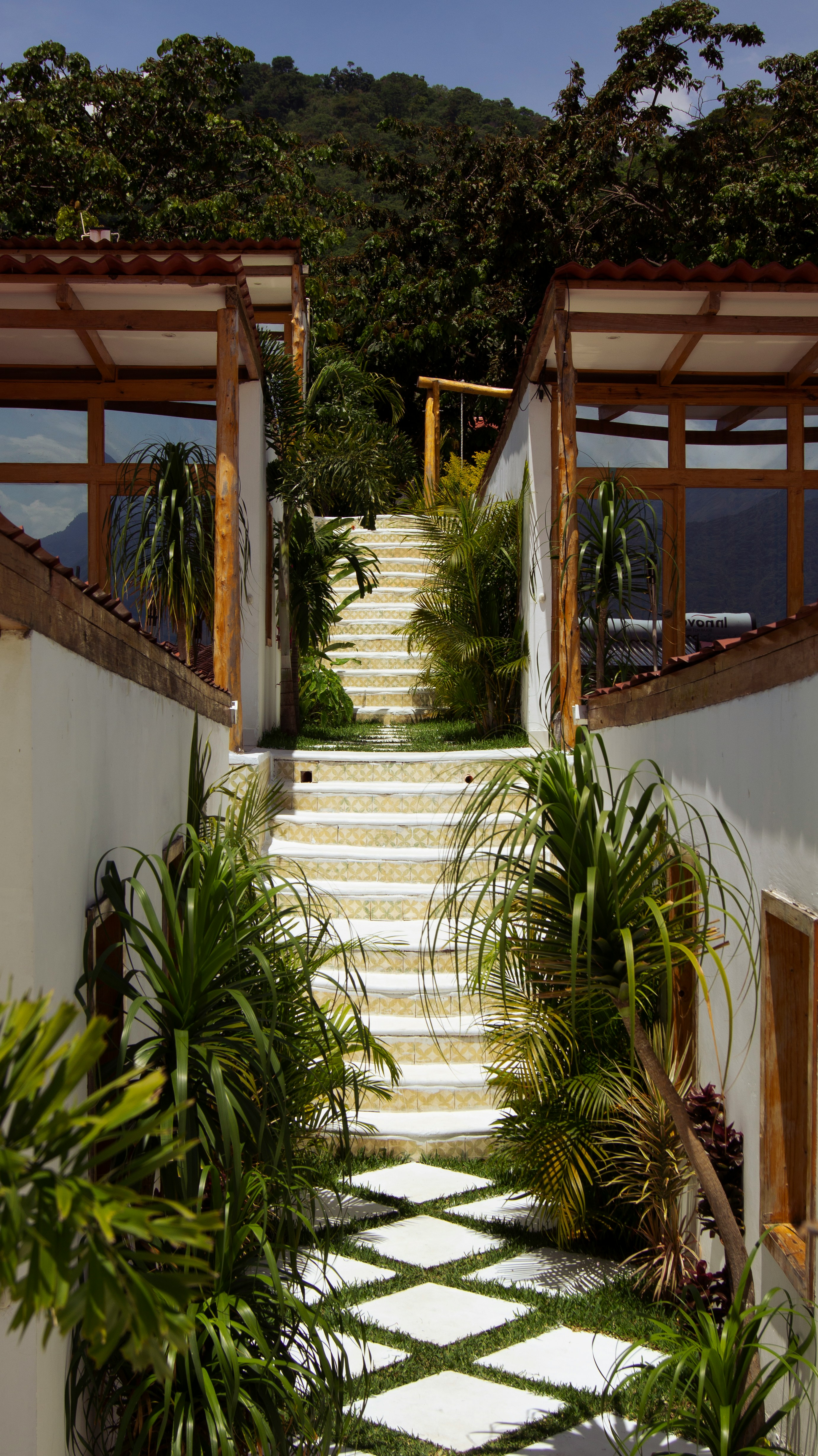 green palm plants on white concrete house