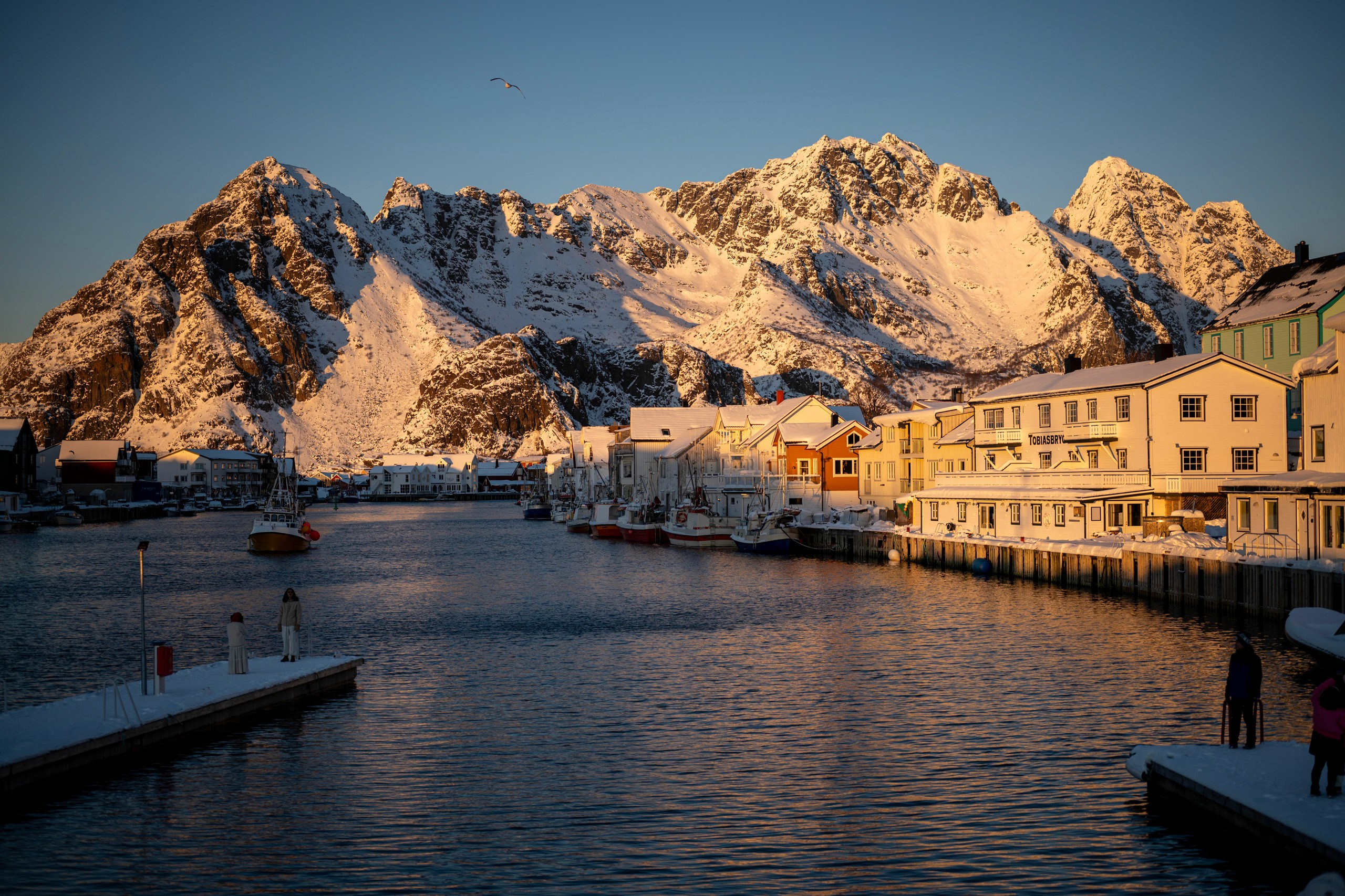 Arctic Coliving Voss Mountain Lodge