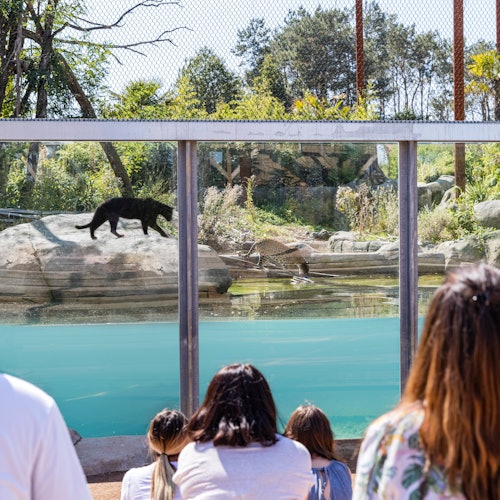 鸚鵡世界：克雷西-拉-沙佩爾的年度通行證門票