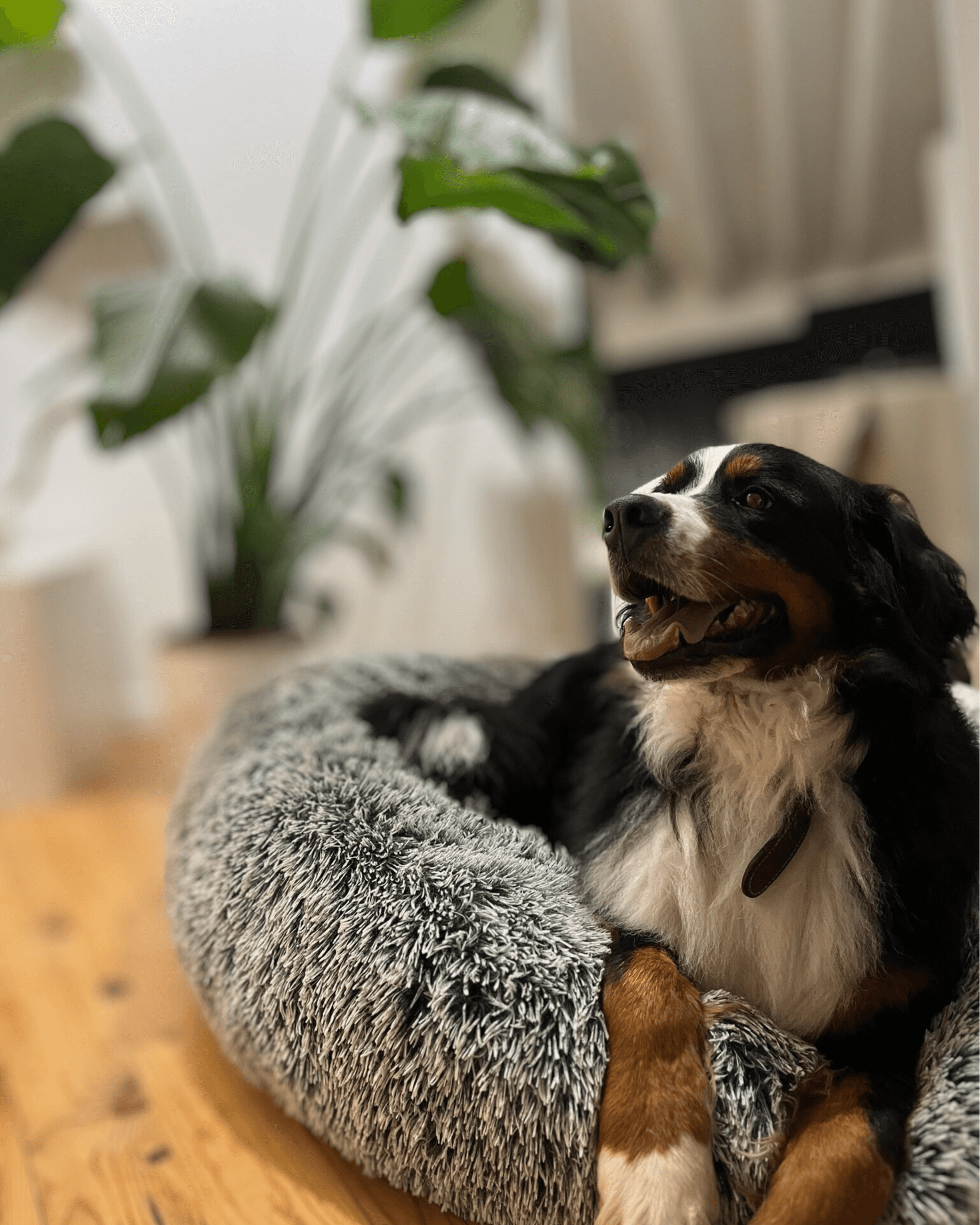 Una&Co Photo Garde à Domicile