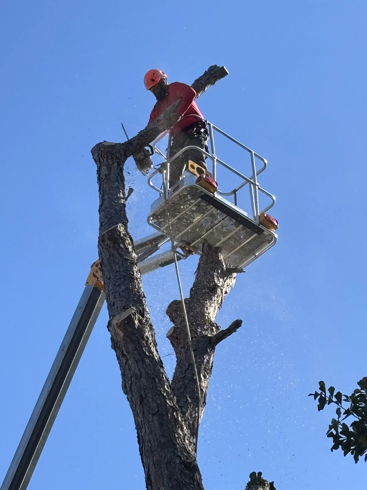 School Donation Check