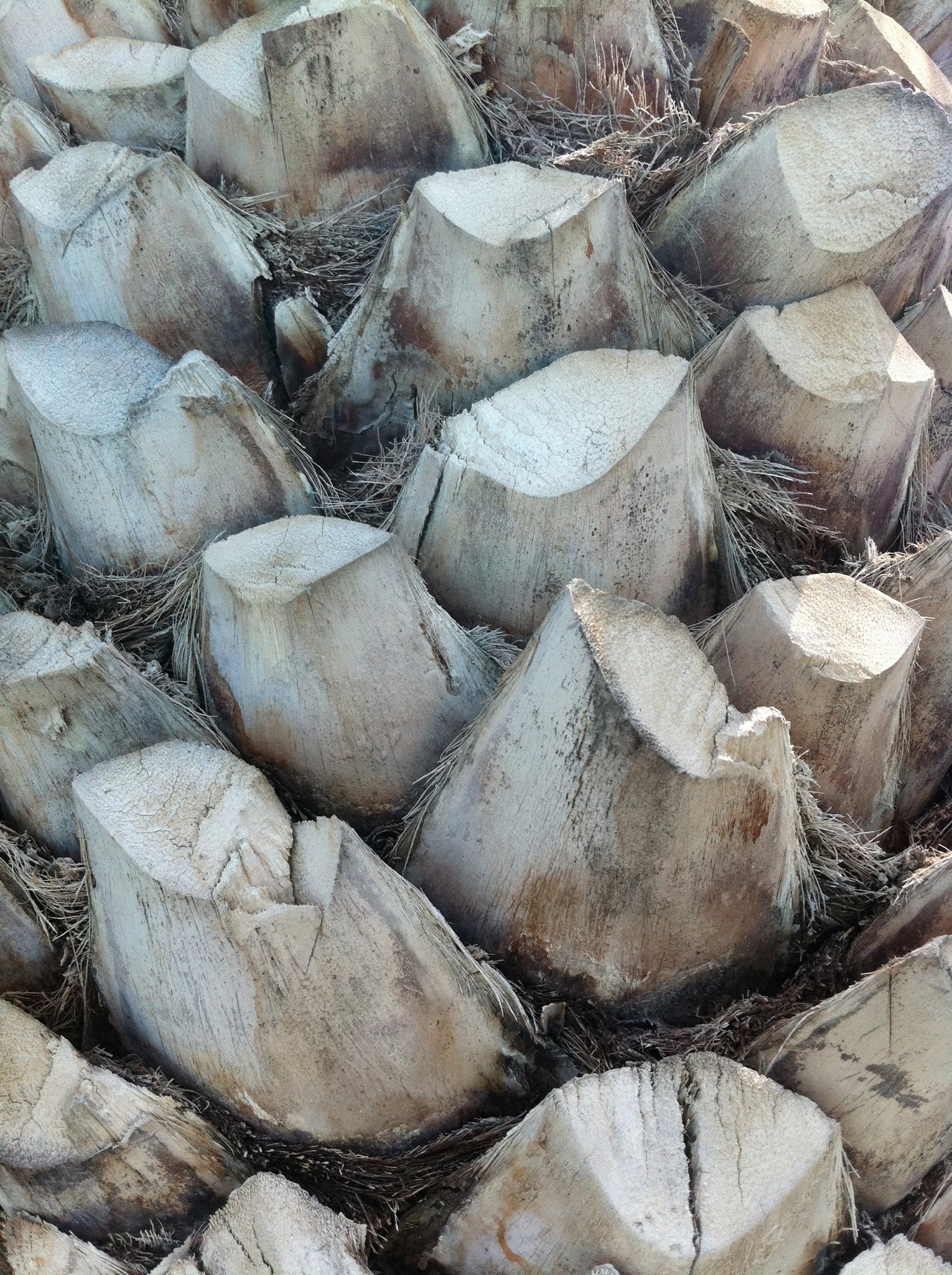 blue sky and white clouds over the sea
