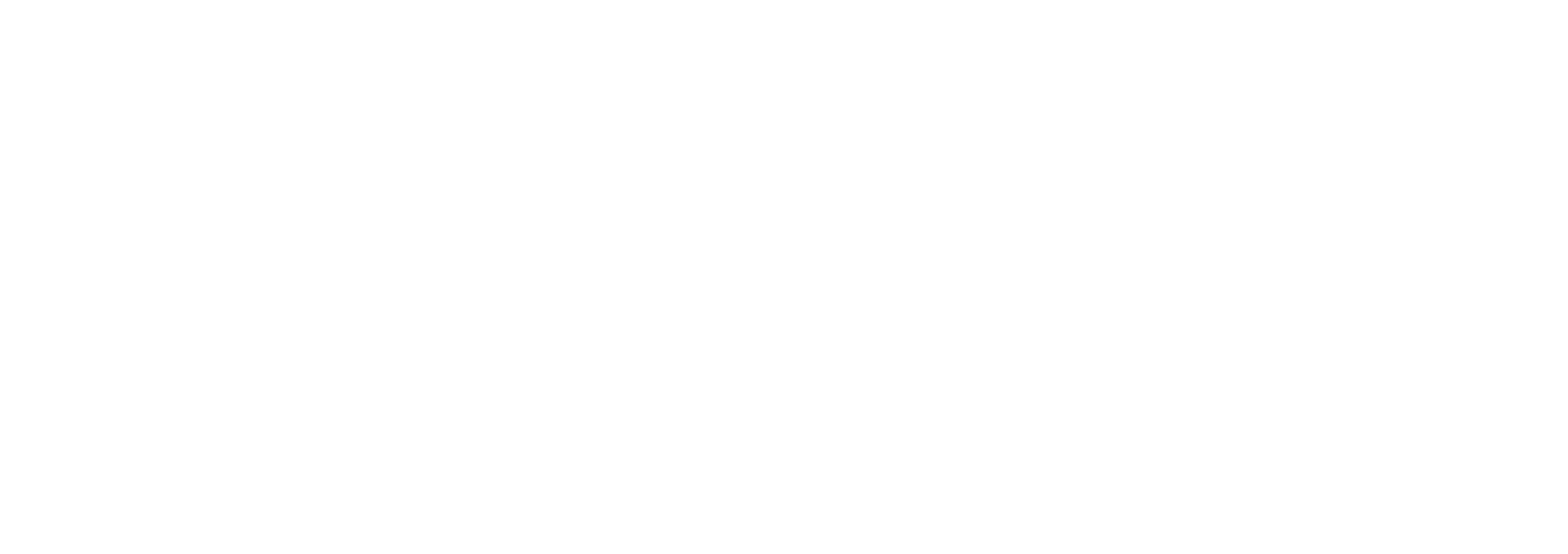 BAGUE logo
