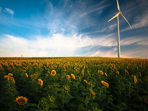 A wind turbine towers over a field of sunflowers under a blue sky with wispy clouds at sunset.