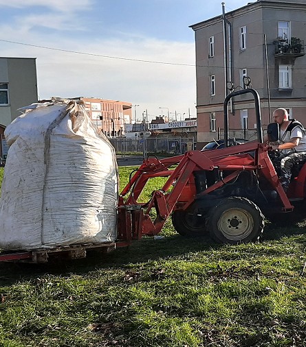 Usuwanie materiału traktorkiem po podcinaniu drzew