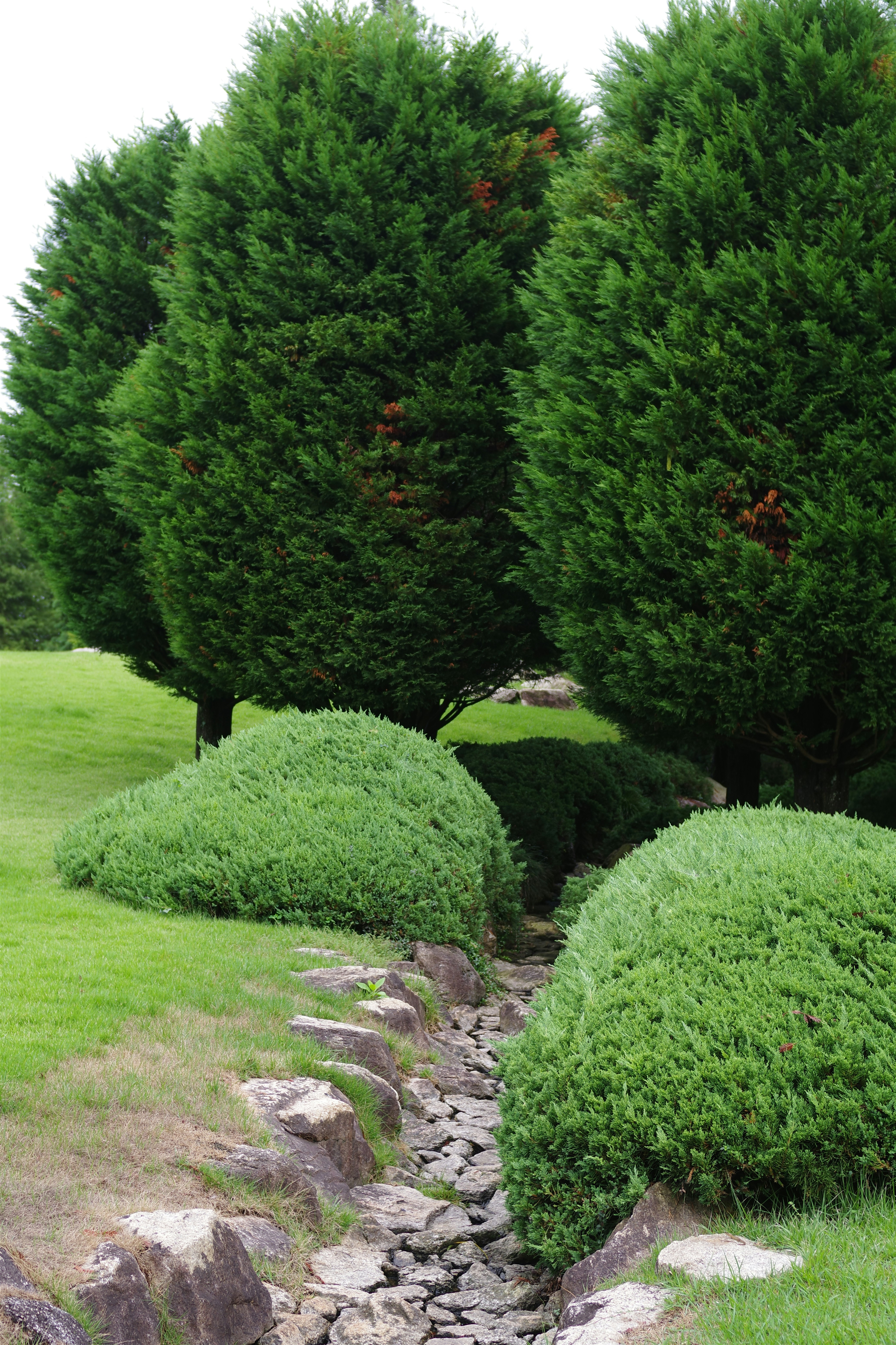 A small stream running through a lush green park