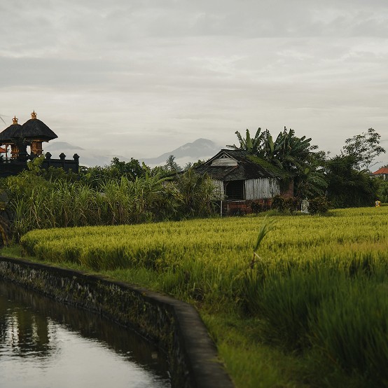 imagen lluvia de musitas