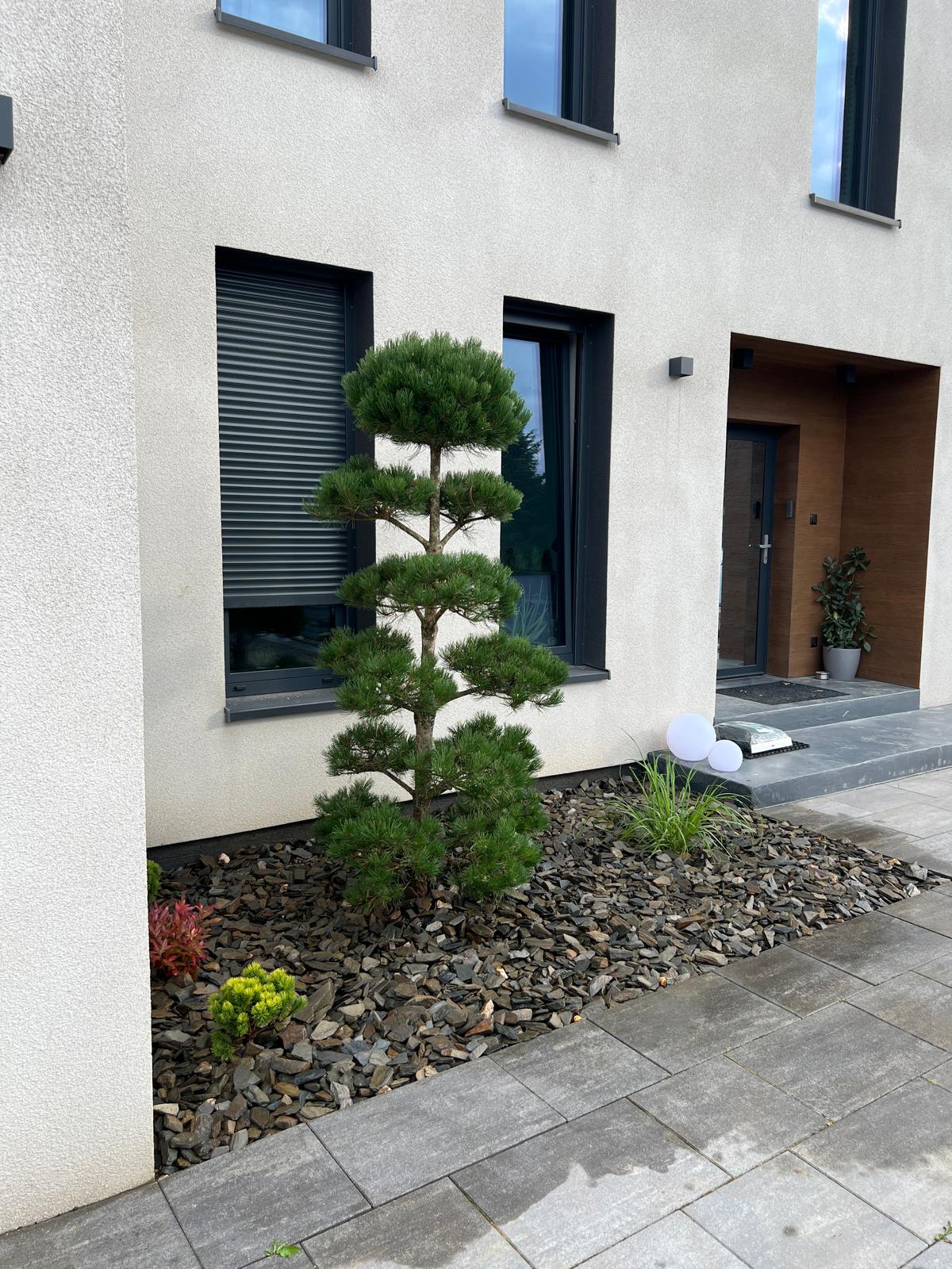 Beautiful landscaped garden with greenery and outdoor design elements.