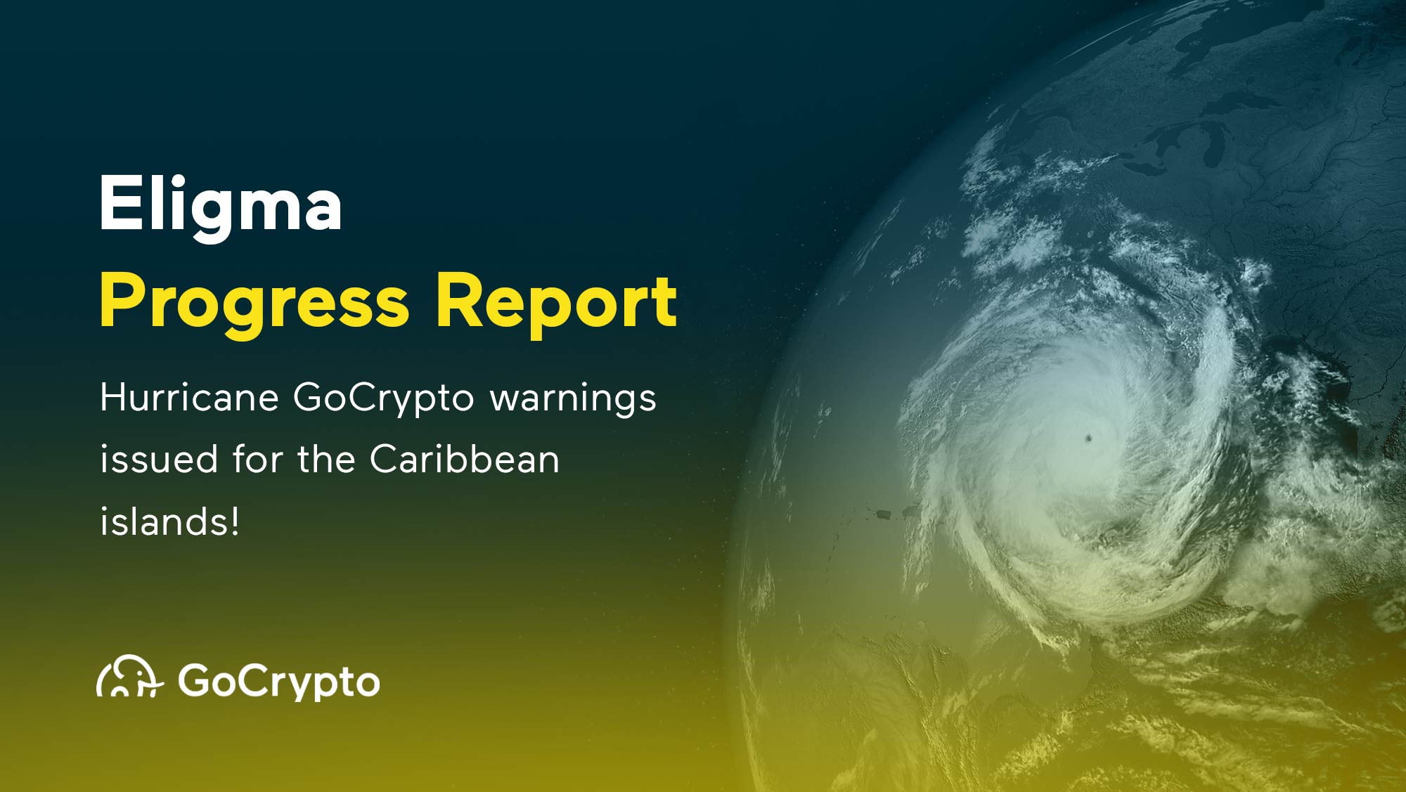 Eligma Progress Report