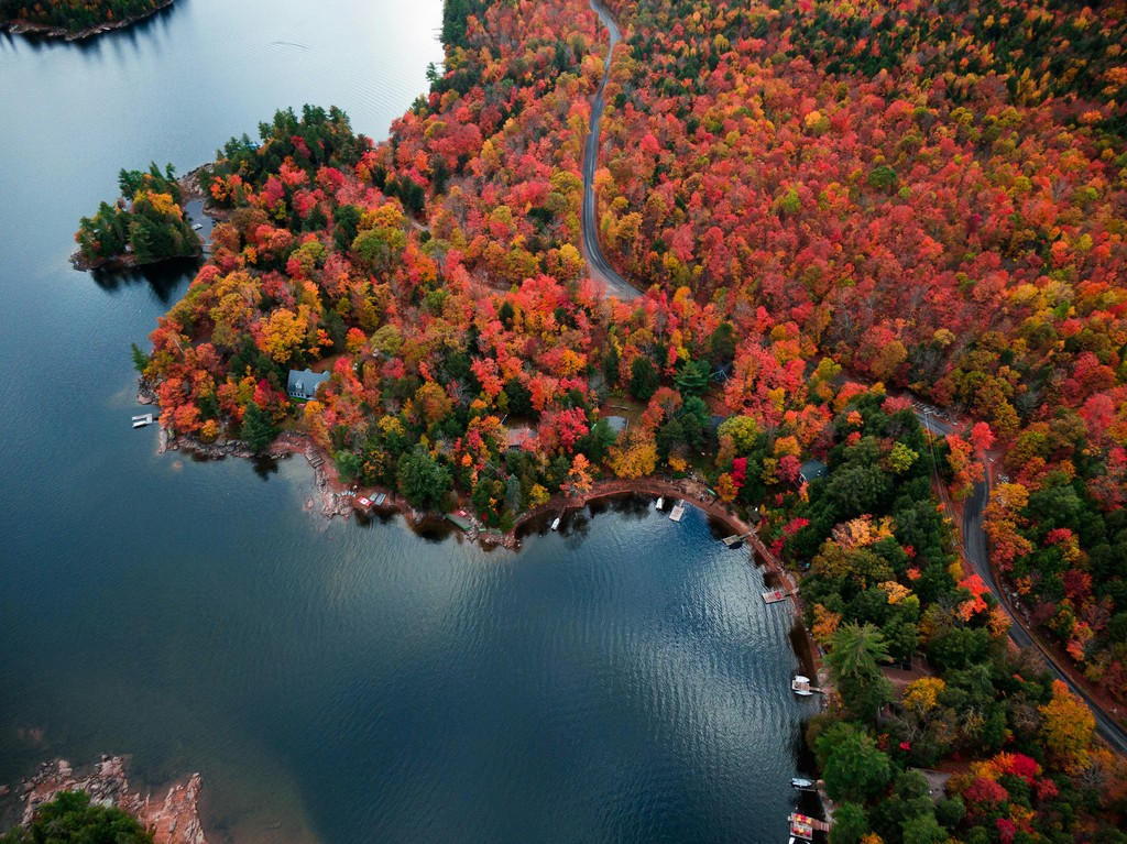 Orange, red and green trees near the edge of a lake