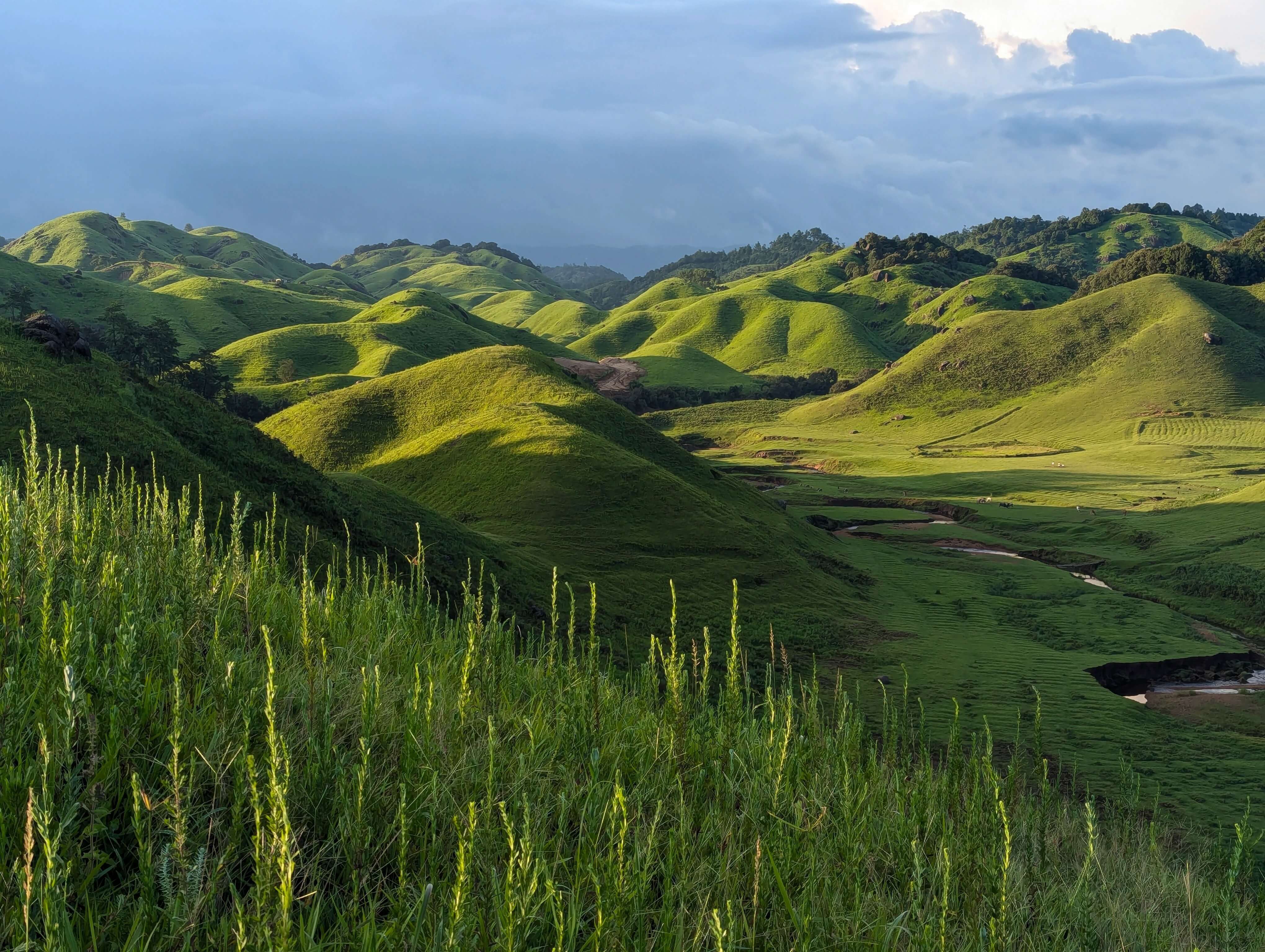 Meghalaya