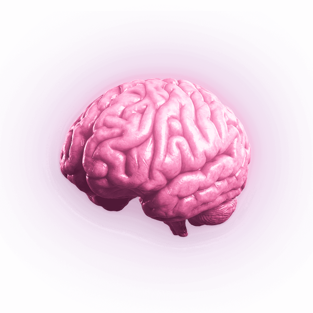 Le guide de l'IA – guide gratuit formation IA Elliott Pierret