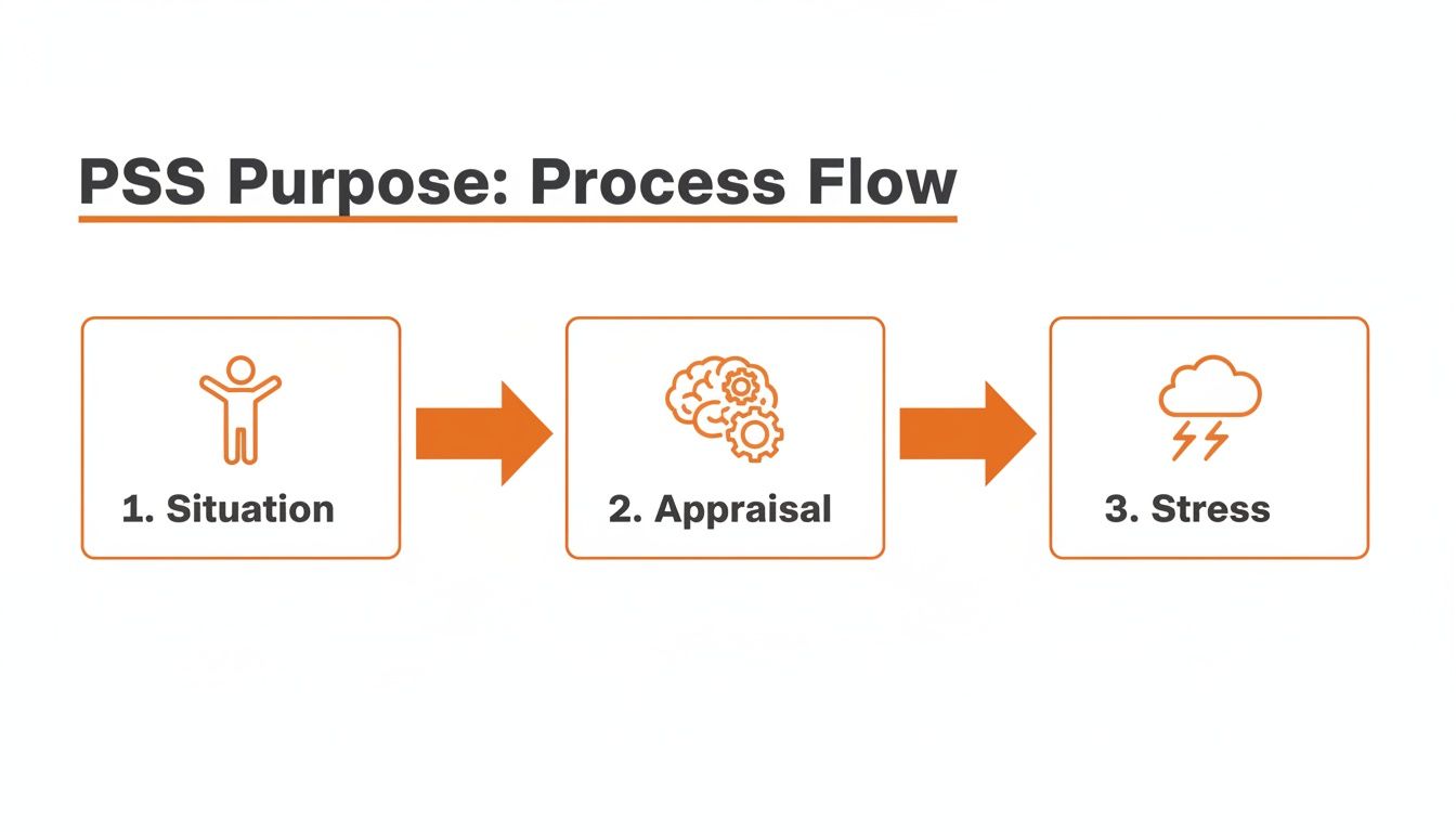 Process flow diagram illustrating PSS purpose: situation leading to appraisal, then to stress.
