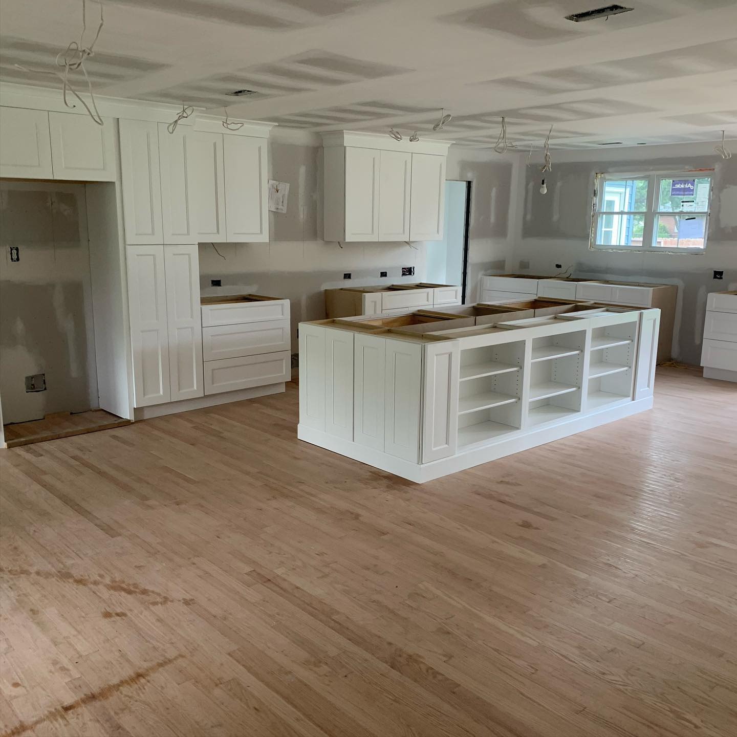 living room set with green dumb cane plant