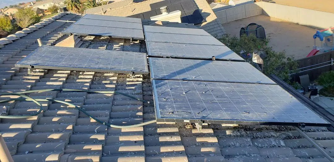 bird poops on solar panel how to prevent bird nesting