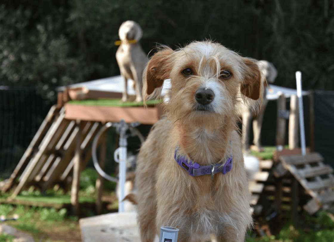 Group shoot of the daycare team