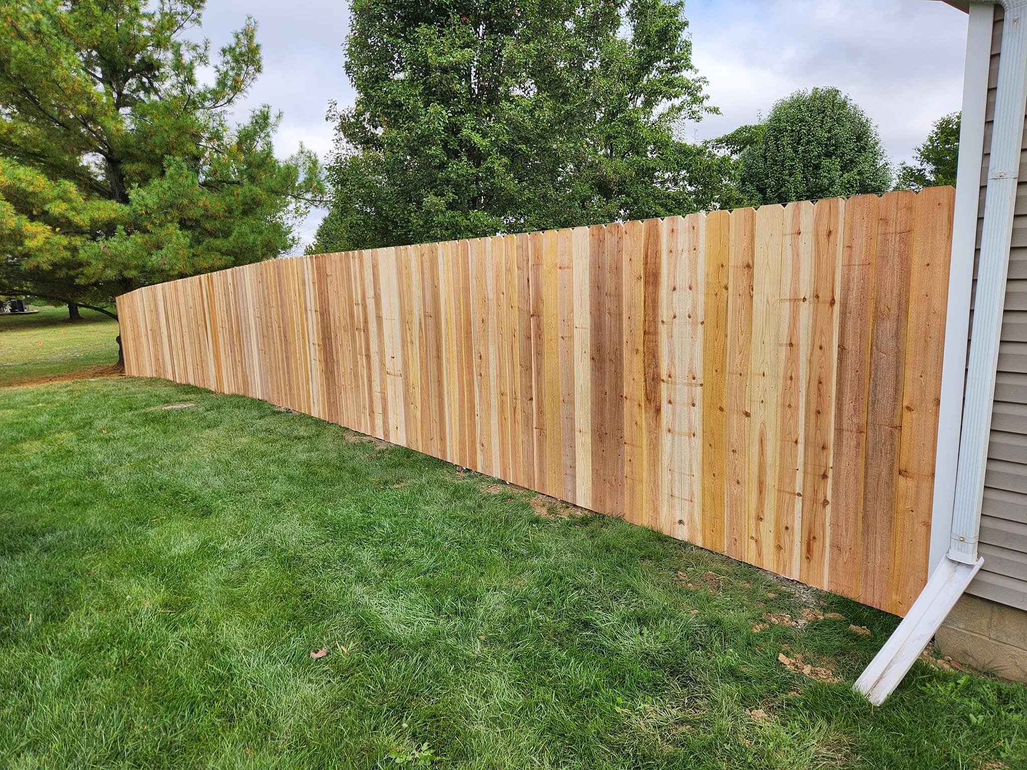 Modern living room with vertical garden, yellow sofas, and stylish coffee tables.