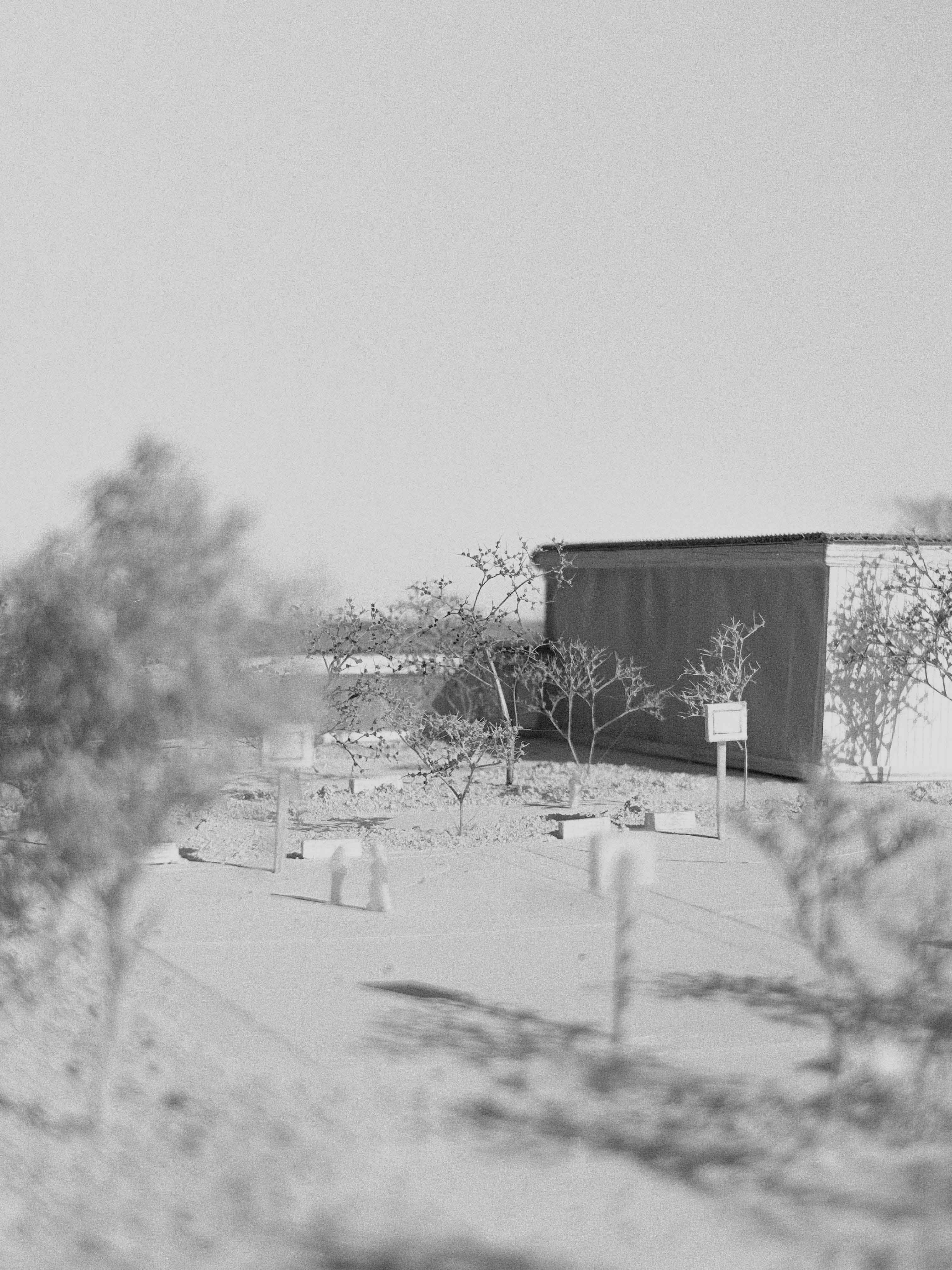 A modern, minimalist interior with wooden flooring, large windows, and a few plants giving a bright, airy feel.